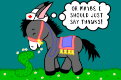 Donkey Thanks